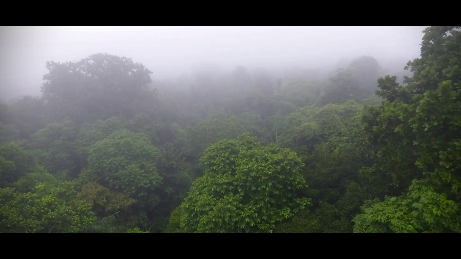 Bruma Montañas Necoclí