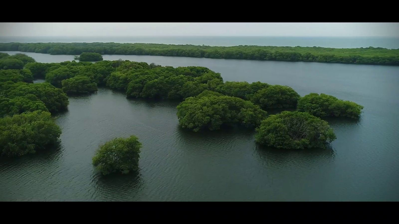 Ensenada de Río Negro Drone 2
