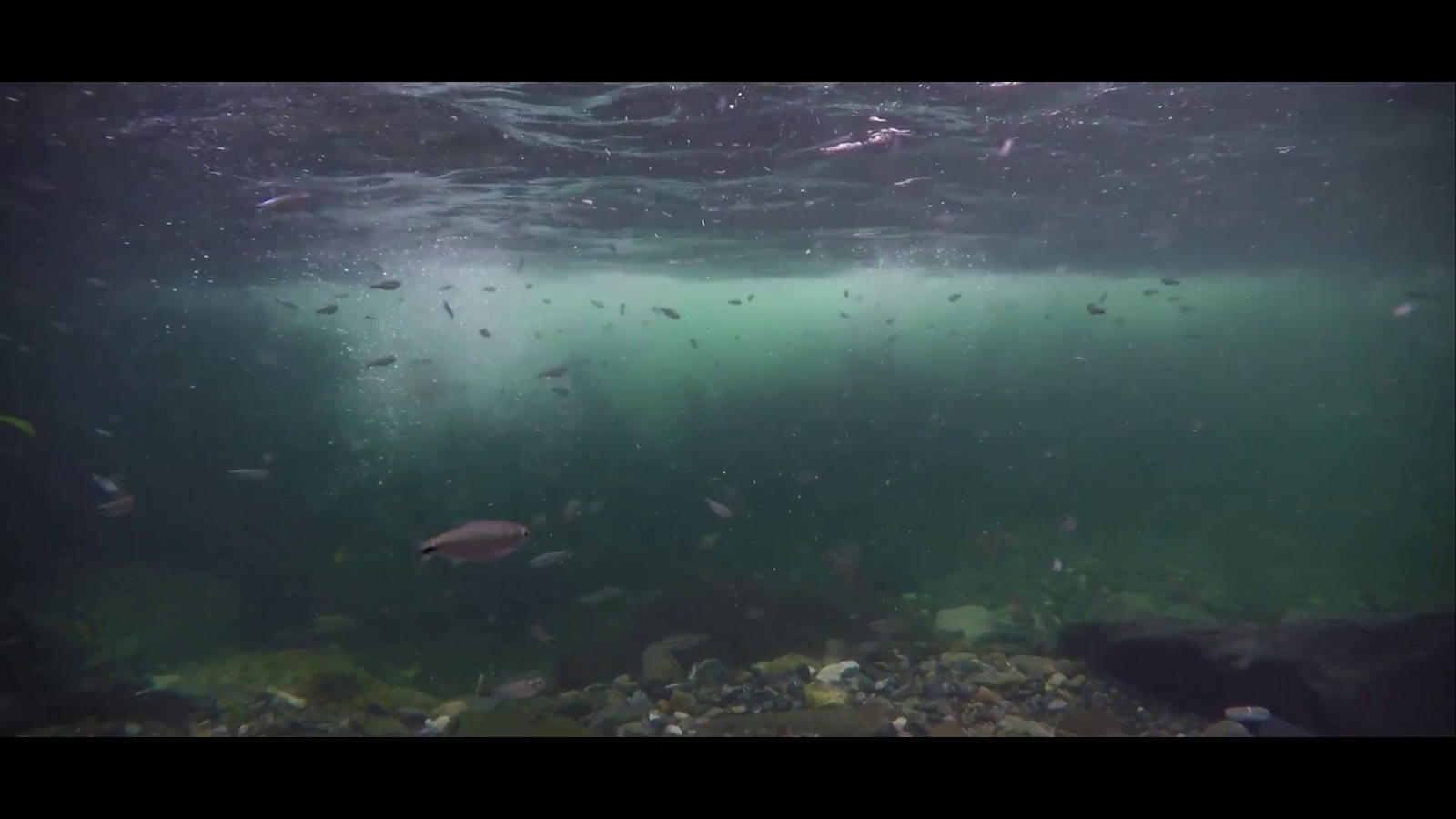 Necoclí Rios Dulces